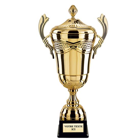 Trophée OR (Conseiller en entreprenariat)