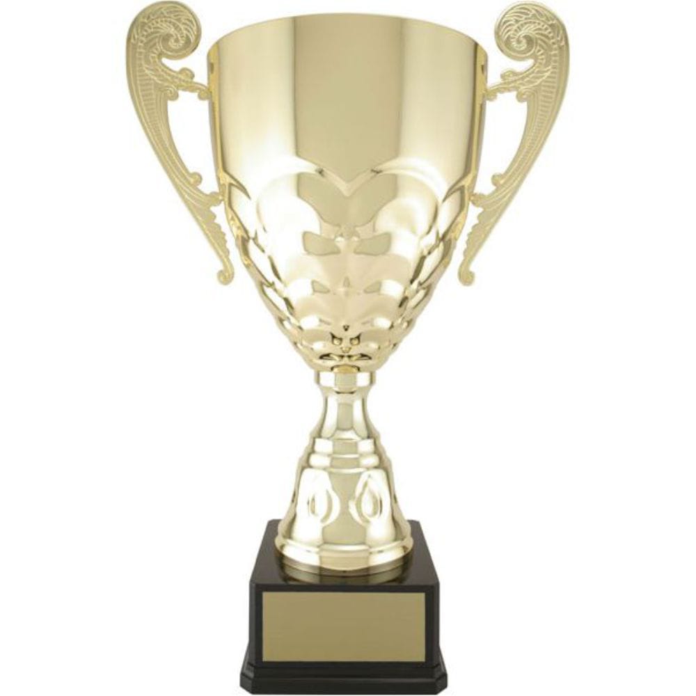 Trophée Bronze entreprenariat